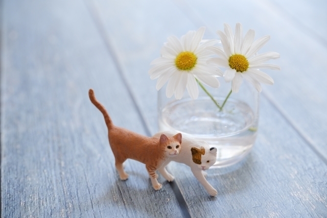 プラン選びに迷われた方へ