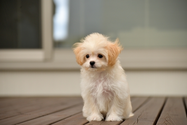 よくあるご不安について